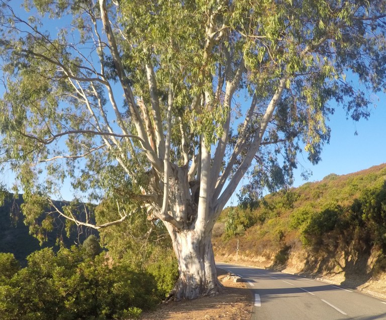 DCIM100GOPROGOPR8175.